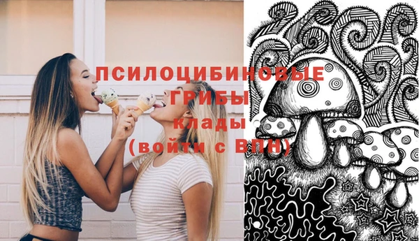 ПСИЛОЦИБИНОВЫЕ ГРИБЫ Волоколамск