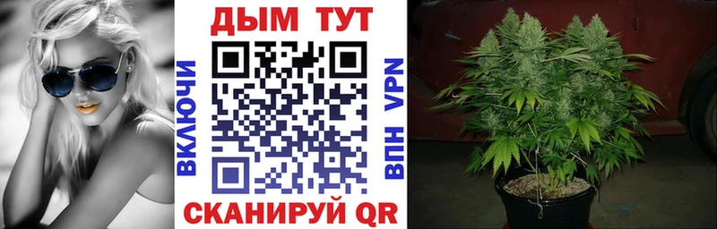 Каннабис конопля  Канаш 